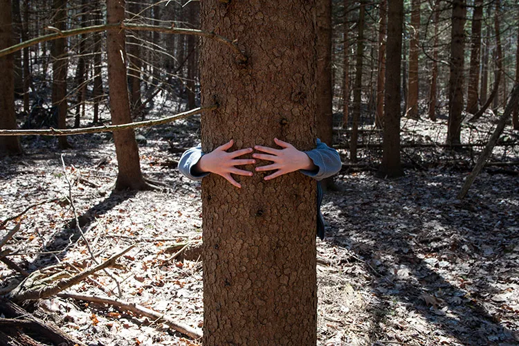 Brenner-Penfield Tree Hugger