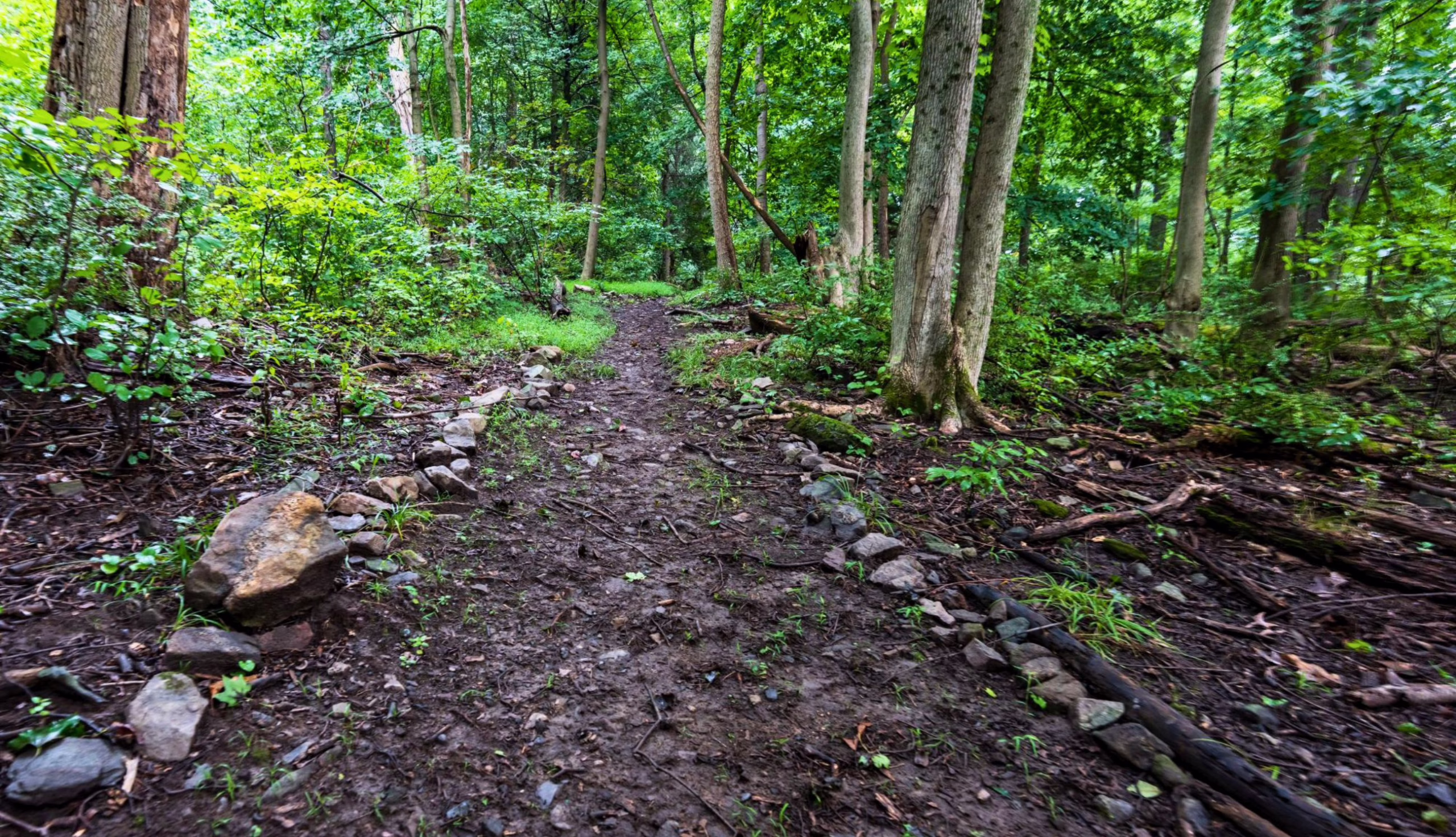 Foundry Trail at Brenner-Penfield Emmaus Preserve